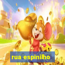 rua espinilho - guarani novo hamburgo - rs 298